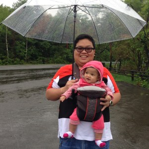 Fifth Level of the Mt. Fuji